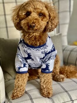 Dog Christmas Pyjamas, 5 of 10