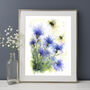 Cornflower And The Bee's Watercolour Print, thumbnail 2 of 8