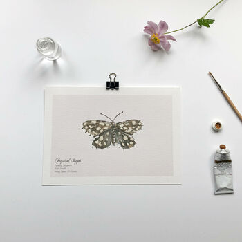 Set Of Butterfly A5 Giclée Art Prints, 9 of 11