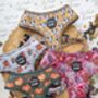 Woodland Badger Dog Harness, thumbnail 3 of 12