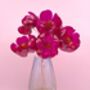 Hot Pink Bouquet Recycled Plastic Bottle Flowers, thumbnail 10 of 12