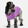 Plain Knitted Purple Dog Jumper, thumbnail 1 of 5