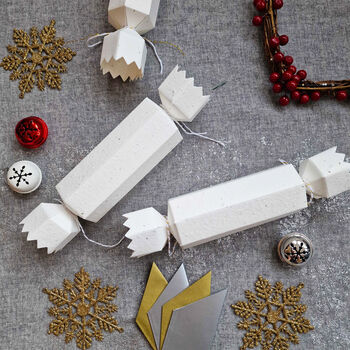 Plantable Seed Paper Christmas Crackers Eco Friendly, 2 of 5