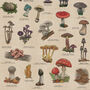 British Mushroom Artwork/Fungi Illustration Print, thumbnail 11 of 11