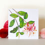 Honeysuckle Greetings Card, thumbnail 1 of 5