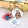 Cocker Spaniel Personalised Illustrated Dog ID Name Tag, thumbnail 7 of 12