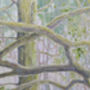 The Mother Tree, thumbnail 7 of 10