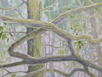 The Mother Tree, 7 of 10