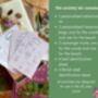 Daddy And Me Nature Activity Tin, thumbnail 4 of 9
