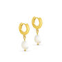 Alessia Freshwater Pearl Charm Hoops, thumbnail 5 of 5