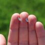 Tiny Leaf Studs In Sterling Silver, thumbnail 1 of 4