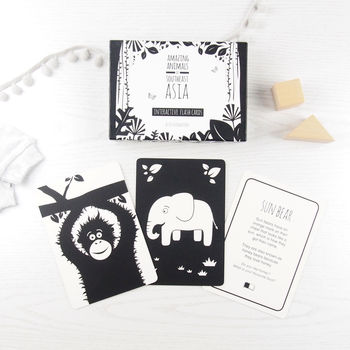 Three Black And White Baby Books With Flash Cards, 2 of 6