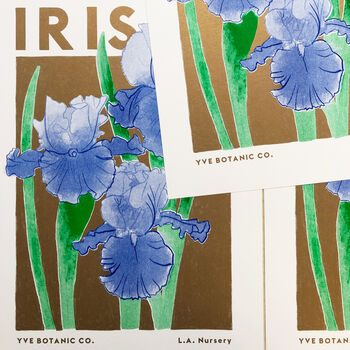 Iris Floral Illustration Riso Print, 3 of 5