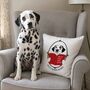 Personalised Dog Gift Cushion Train Your Human, thumbnail 2 of 12