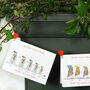 Rainbow Snowmen Family Christmas Cards, thumbnail 3 of 3