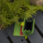 Personalised Green Small Multi Colour Leather Purse Rfid Protected, thumbnail 7 of 10