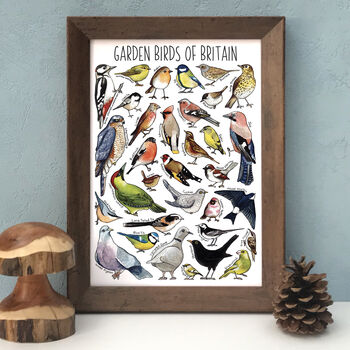 Garden Birds Of Britain Art Blank Greeting Card, 11 of 11