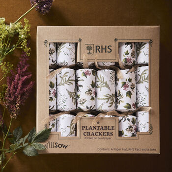 Plantable Christmas Crackers, 3 of 6