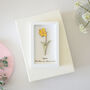 March Birth Flower Miniature Daffodil Wall Art Gift, thumbnail 3 of 12