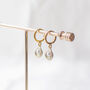 Gold Plated Shell Earrings, thumbnail 6 of 10