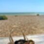 Stylish Leopard Print Shopper/ Beach Bag, Accessorise With Charms/ Keyring’s, thumbnail 6 of 12