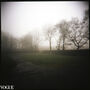 Fog, The Lake District, thumbnail 3 of 11