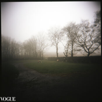 Fog, The Lake District, 3 of 11