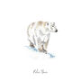 Polar Bear Watercolour Fine Art Print, thumbnail 2 of 4
