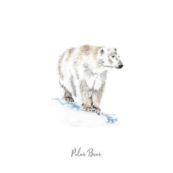Polar Bear Watercolour Fine Art Print, 2 of 4