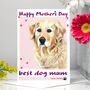 Golden Retriever Mother's Day Card, thumbnail 1 of 7