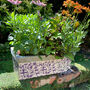 Aged Blue And White Ceramic Rectangular Planter – 40cm, thumbnail 1 of 5
