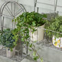 Set Of Two Iron Arch Wall Planters, thumbnail 3 of 7