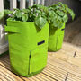 Pair Of Reusable Potato And Vegetable Patio Grow Bags, thumbnail 10 of 12