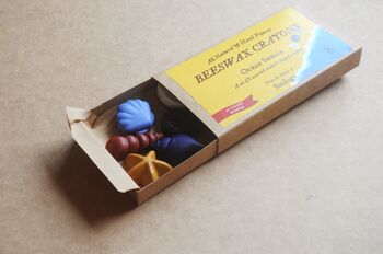 Ocean Shells Eight Natural Beeswax Seashell Crayons, 3 of 3