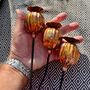 Set Of Three Copper Seed Head Garden Planter Stakes, thumbnail 9 of 9
