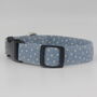 Light Blue Star Dog Collar And Lead Accessories Set, thumbnail 4 of 12