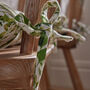Watercolour Leaves Tie On Seat Pads, thumbnail 5 of 5