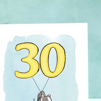 Badger 30th Birthday Card, 7 of 8