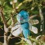 Handmade Dragonfly Blue Fair Trade Toy, thumbnail 2 of 4