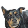 Personalised, Original Dog Portrait, thumbnail 5 of 5