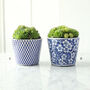 Dutch Blue Patterned Plant Pot, thumbnail 2 of 4