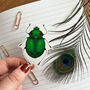 Beetle Sticker, thumbnail 1 of 3