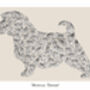 Norfolk Terrier Print, thumbnail 2 of 4