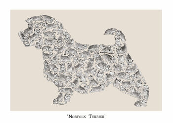 Norfolk Terrier Print, 2 of 4