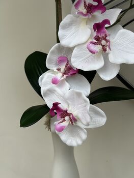 White And Pink Phalenopsis Orchid In Tall Slim Vase, 4 of 8