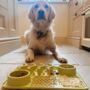 Two In One Enrichment Dog Feeding Mat, thumbnail 5 of 5