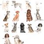 Personalised Dog Party Birthday Card, thumbnail 6 of 6