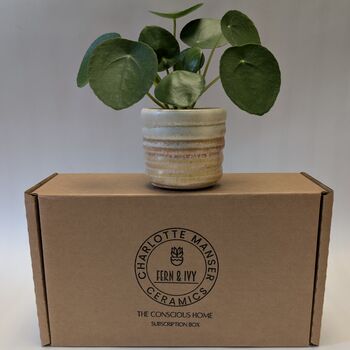Mini Plant And Pot Subscription Box Houseplant Lover Gift, 3 of 4
