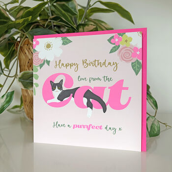 Happy Birthday From The Cat Neon, 2 of 2