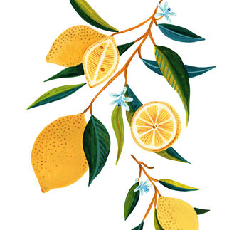 Summer Lemons Art Print, 5 of 5